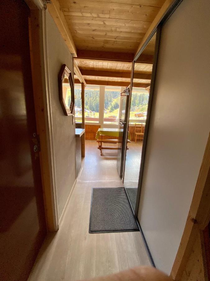 Super Lioran - Appartement Entierement Equipe Laveissiere Bagian luar foto