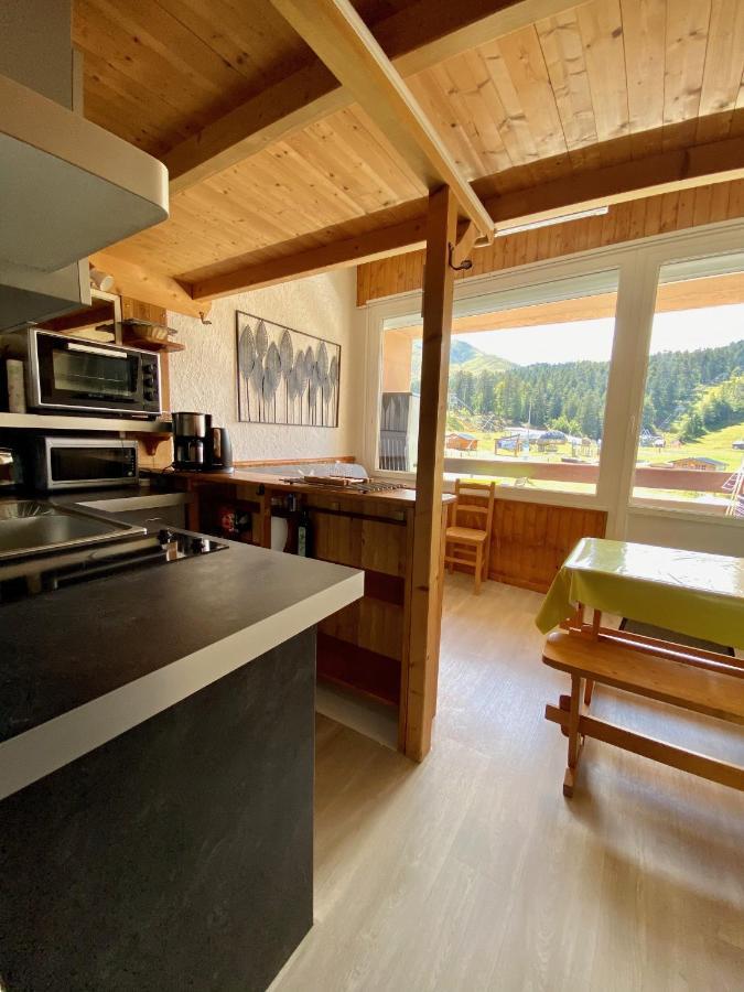 Super Lioran - Appartement Entierement Equipe Laveissiere Bagian luar foto